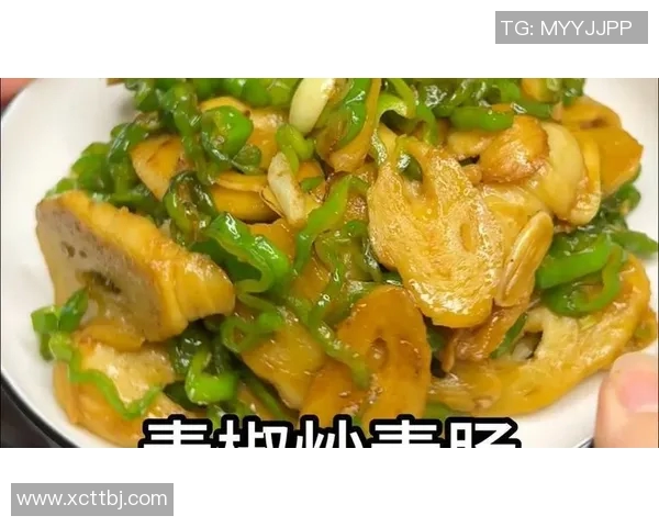 赵磊独家分享篮球心得与技巧助你提升球技的全面指南 赵磊独家分享篮球心得与技巧助你提升球技的全面指南