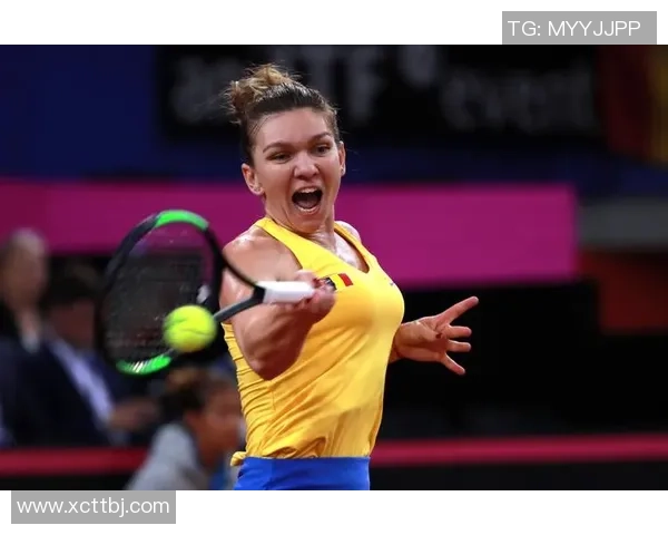 南京网球队以79分领跑联合会杯积分榜展现强劲实力